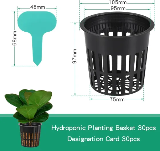 71wh-fNyPsL._AC_SL1500_