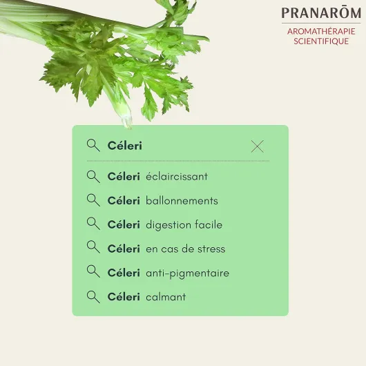 71U7Qn14XUS._AC_SL1500_