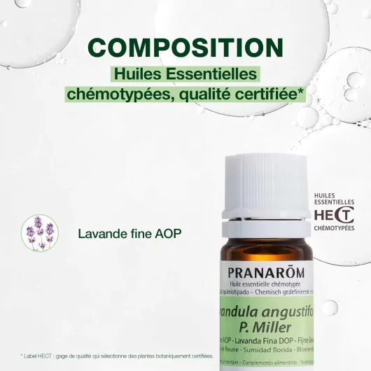 71v8Bpvwv-L._AC_SL1500_