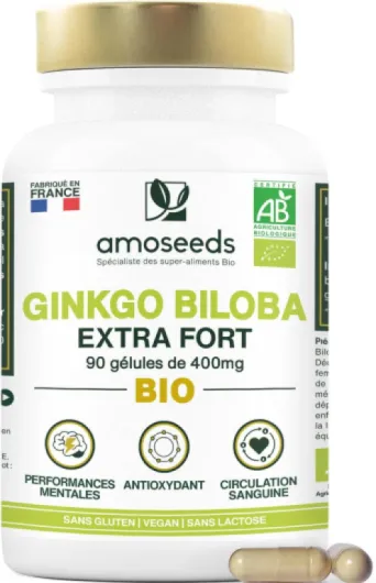 Ginkgo Biloba BIO - Extra Fort, 4560mg par jour - Stimulant cognitif, Mémoire, Circulation Sanguine - 90 Gélules Vegan - Qualité Supérieure