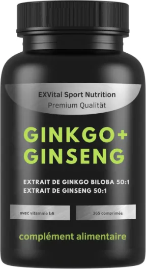 EXVital® Ginkgo + Ginseng, 365 comprimés, extraits de plantes 50:1, hautement dosé – Ginkgo Biloba & Ginseng coréen – Testé en laboratoire – Végan