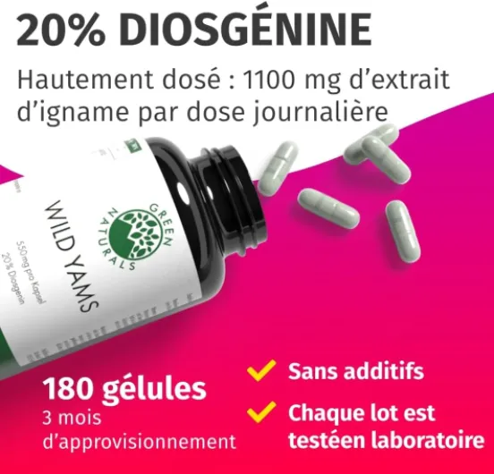 61JLkHX70CL._AC_SL1080_