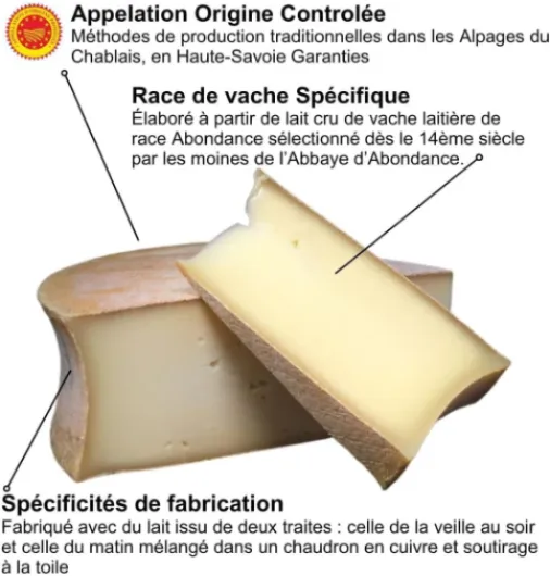 61CGGNESchL._AC_SL1024_