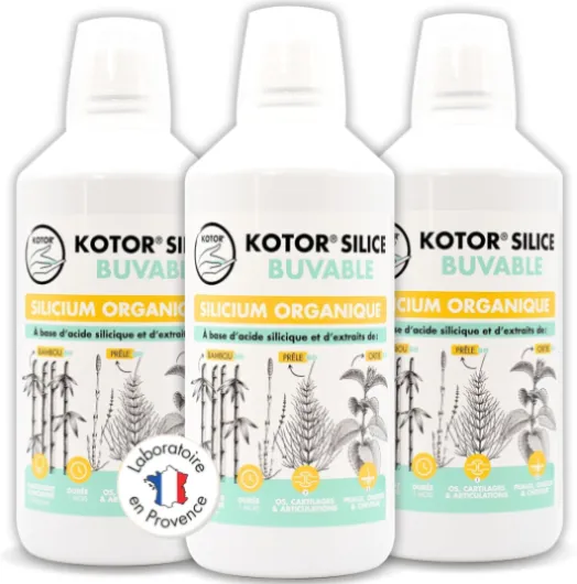 KOTOR SILICE BUVABLE 1L - Lot de 3 - Silicium Organique Francais & Naturel - Santé des Articulations, Cartilages, Os, Peau, Cheveux, Ongles - Silicium + Ortie + Prêle + Bambou - 3 mois