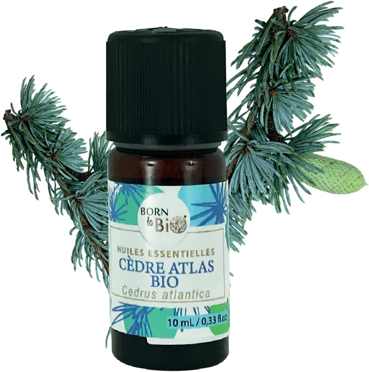 Huile Essentielle Cèdre de l'Atlas Bio - 100% Pure et Naturelle - Propriétés Décongestionnantes et Cosmétiques - Certifié AB - 10ml