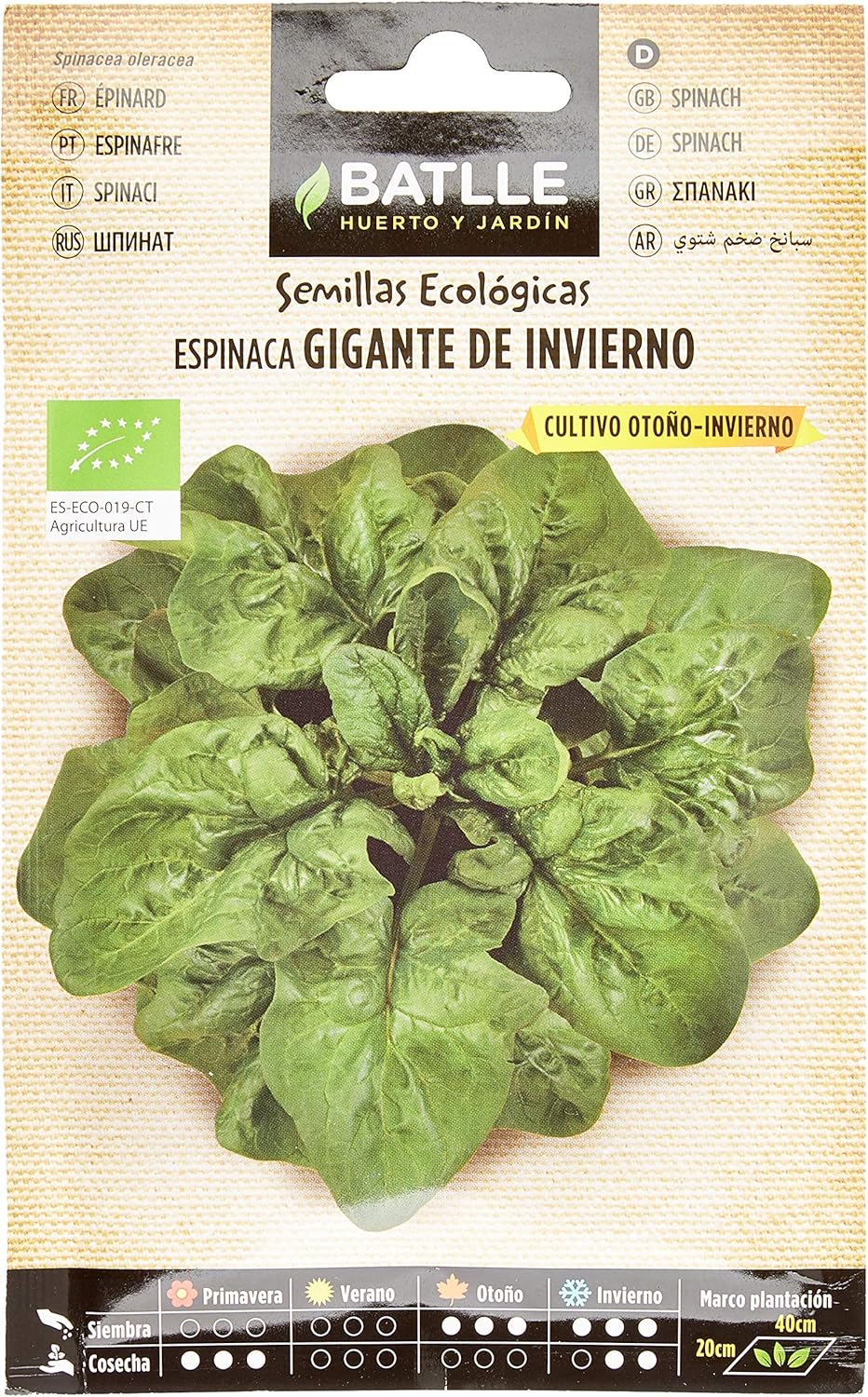 Graines Bio de Batlle - Épinards Géant d'hiver (4g), vert