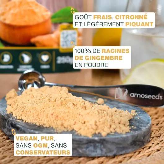 71ECHS-UdaL._AC_SL1400_