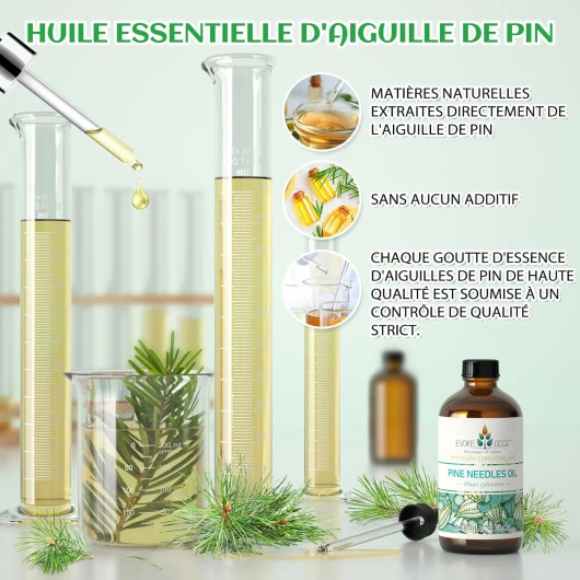 81oYeGbgenL._AC_SL1500_