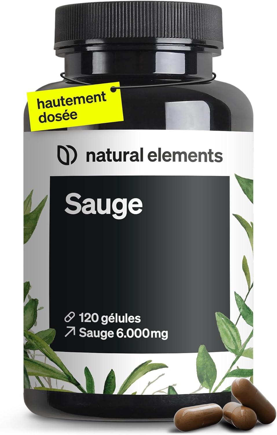 Sauge – 120 gélules – 6 000 mg de sauge par dose journalière – extrait de sauge 10:1 – végane, hautement dosé, sans additifs inutiles – fabriqué et contrôlé en laboratoire en Allemagne