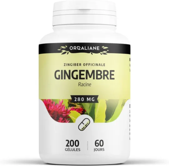 Gingembre 280mg - 200 gélules
