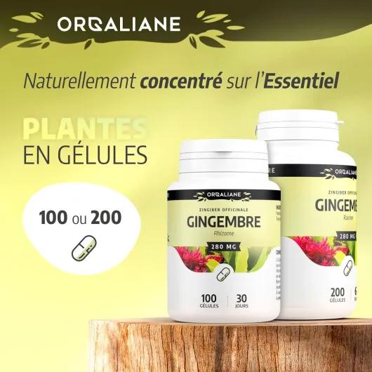 71Z81UqB8tL._AC_SL1500_