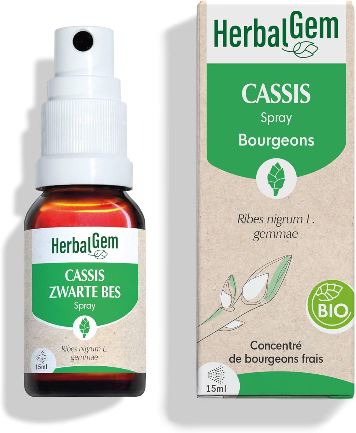 Macérât-Mère - Spray Cassis Bio - Complément Alimentaire Gemmothérapie Concentrée - Extrait de Bourgeon Frais - pour Articulations, Muscles - Vegan - Format Nomade et Pratique - 15 ml