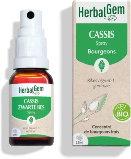 Macérât-Mère - Spray Cassis Bio - Complément Alimentaire Gemmothérapie Concentrée - Extrait de Bourgeon Frais - pour Articulations, Muscles - Vegan - Format Nomade et Pratique - 15 ml