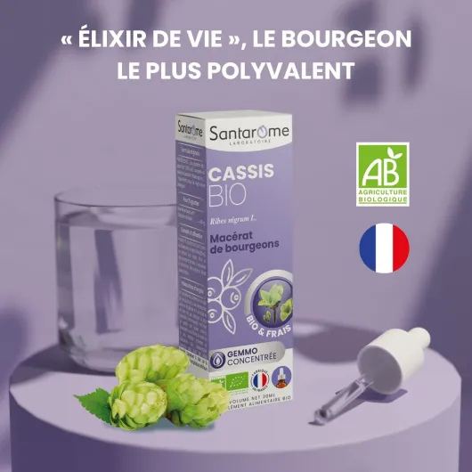 61dGePjfZLL._AC_SL1400_