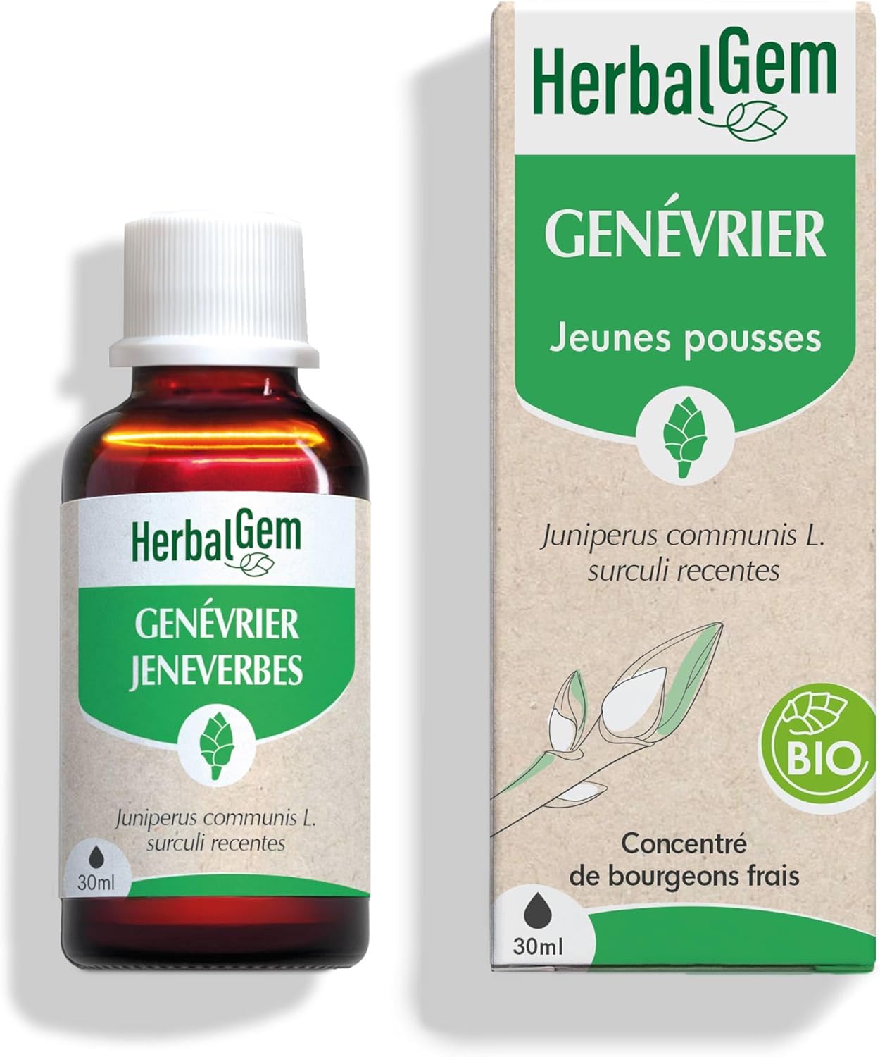 Genévrier Bio-Macérats-Mères de Gemmothérapie Concentrée-30 ml