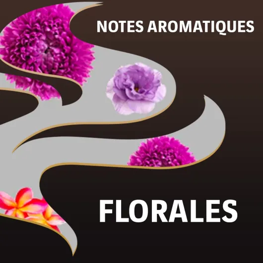 611Yy7ebhGL._AC_SL1500_