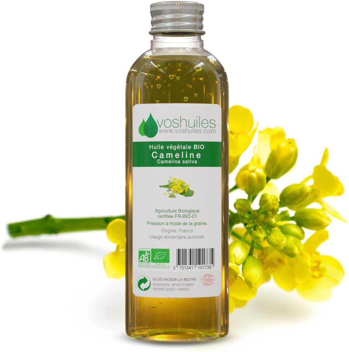 VOSHUILES - Huile Végétale BIO de Cameline Noisette et Herbacé 50ml - Huile Végétale Naturelle pour Soins de la Peau et Cheveux - Hydratante et Nourrissante