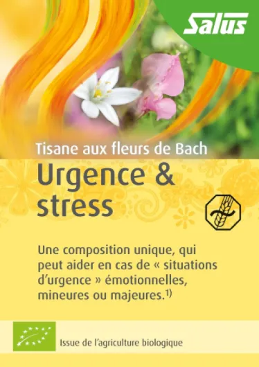 81qSIK7laiL._AC_SL1500_