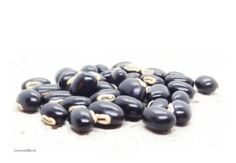 51WejxPqmVL._SL1500_