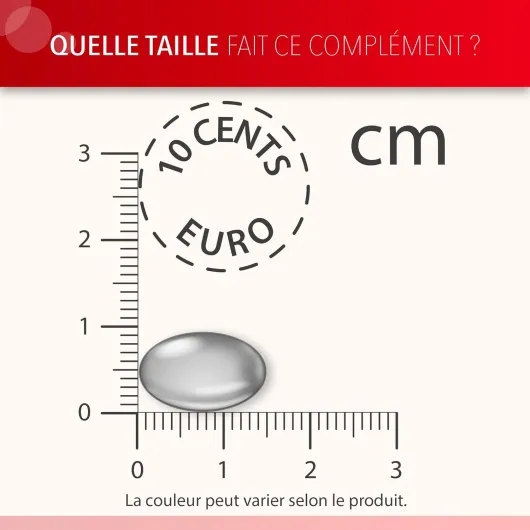 61Fje0fLqLL._AC_SL1500_