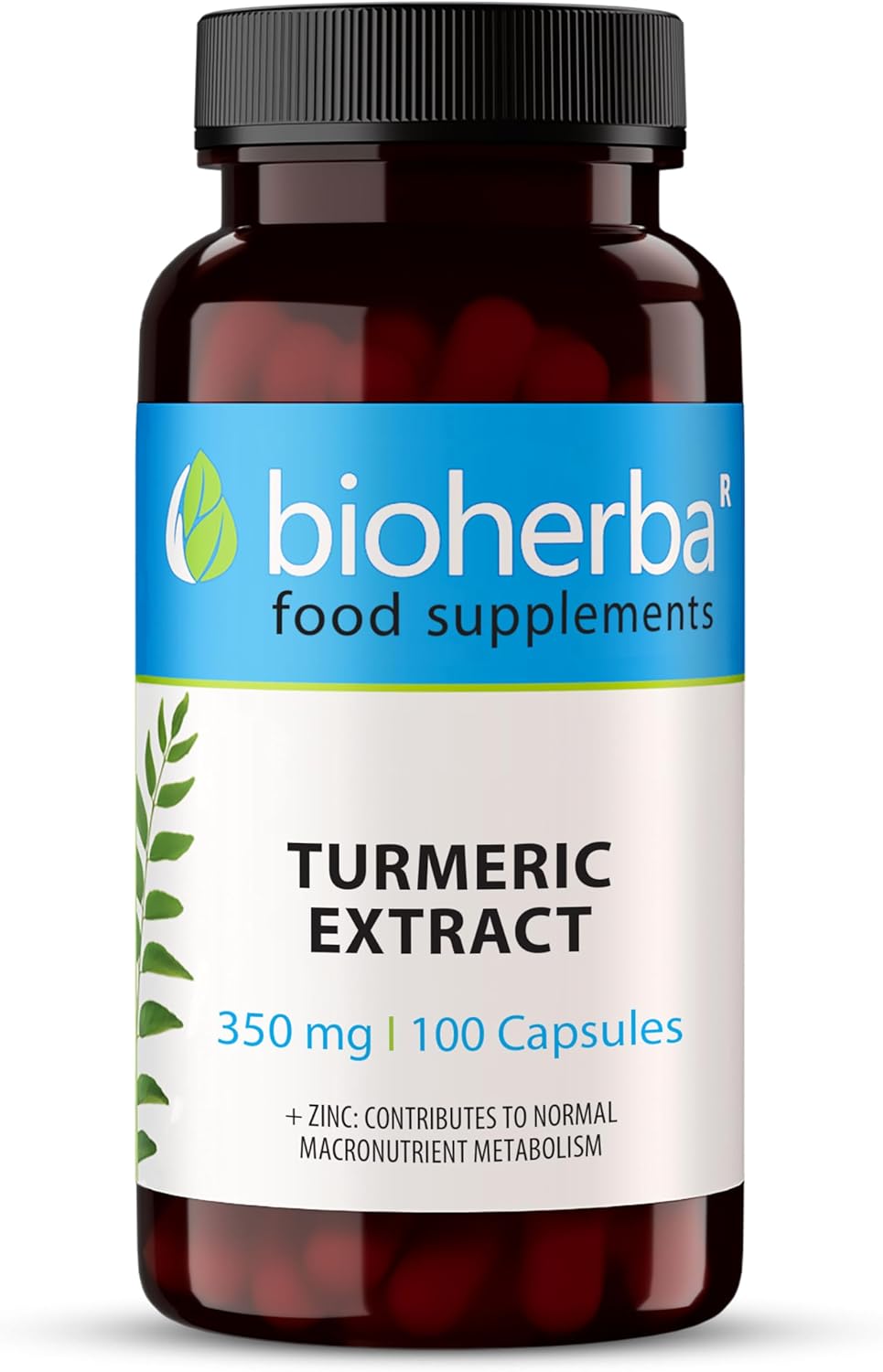 Curcuma – 100 Gélules de 350 mg - Extrait de curcumine avec zinc – par BIOHERBA 1 unité (Lot de 100)