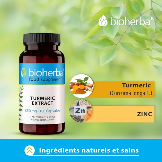 81rUJDQ3dGL._AC_SL1500_