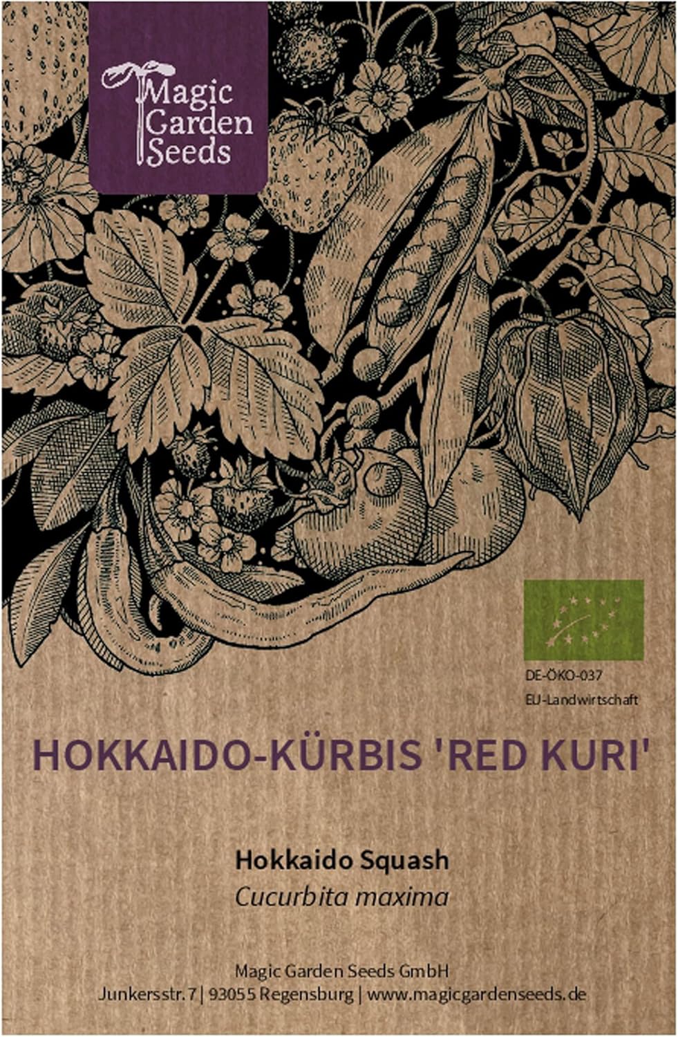 Potimarron "Red Kuri" (Cucurbita maxima) Bio env - 5 semences