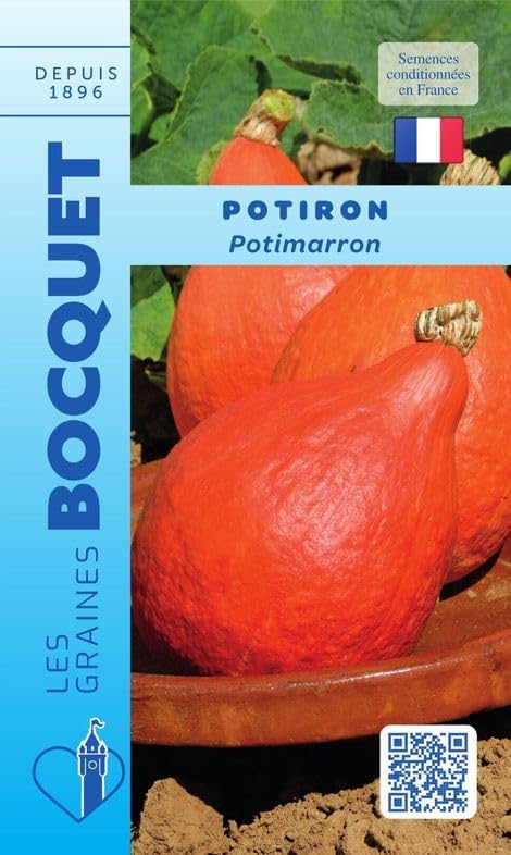 Sachet de graines de Potiron Potimarron - 5 g - légume fruit - LES GRAINES BOCQUET