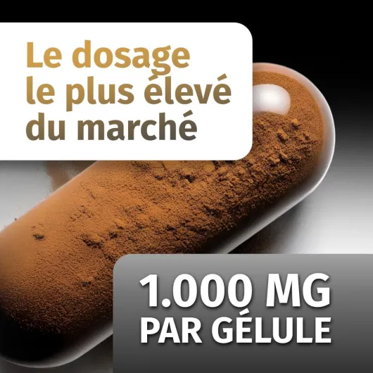 61UJM99Ku5L._AC_SL1080_