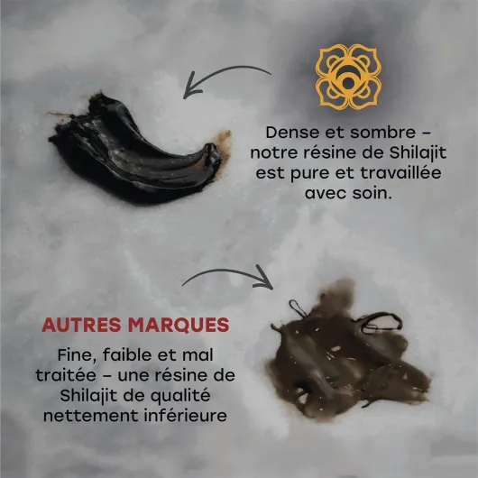 81nIi93fuTL._AC_SL1500_