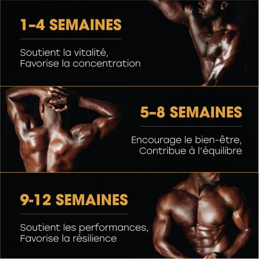 81zhKYN3ZhL._AC_SL1500_