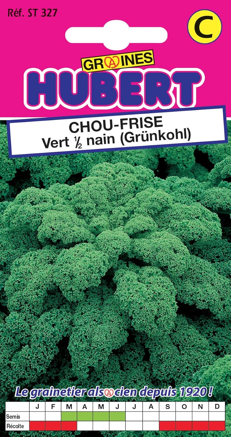Graines de Chou Frisé 1/2 Nain - Kale - 2 grammes
