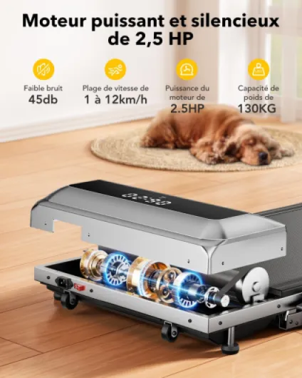 71ShvnOKvCL._AC_SL1500_