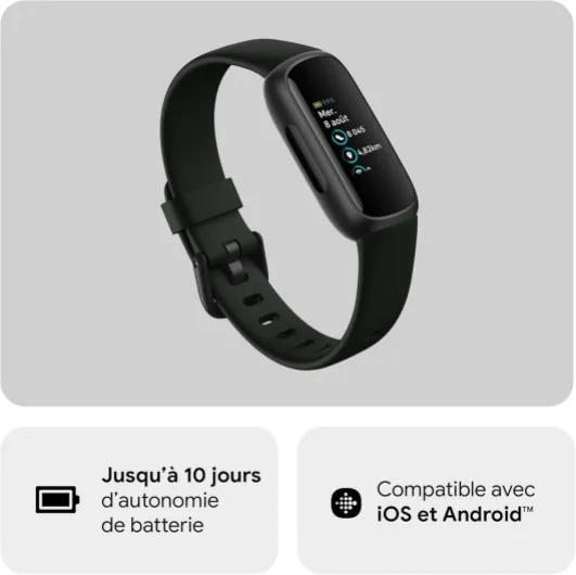 61hZ8NdZkjL._AC_SL1500_