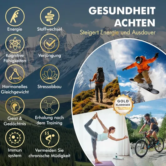 81J B  P4GL._AC_SL1500_