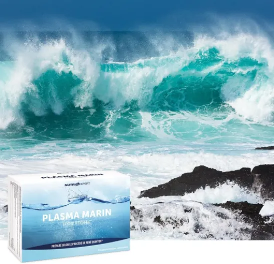 71t2ashsBeL._AC_SL1000_