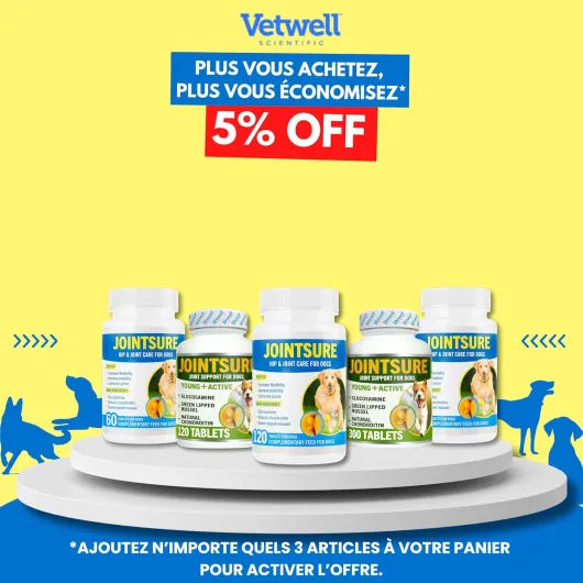 SENIOR – boite de 120 Comprimés à base de glucosamine anti-inflammatoire pour arthrose chien - moule verte - aide à la mobilité articulaire, renforce les articulations - 120 comprimés senior