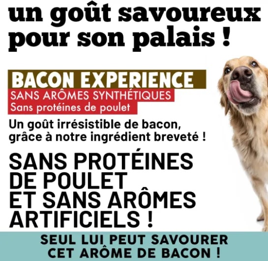 71mAZ9bVj8L._AC_SL1500_