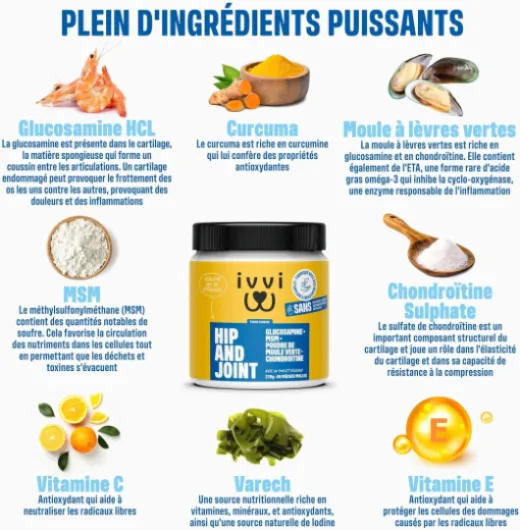 Ivvi - Hip and Joint - Articulations, Anti-Arthrose - Complément Alimentaire pour Chien, Hautement Concentré - MSM, Moule à Lèvres Vertes, Glucosamine - 60 Friandises au Poulet, 270g