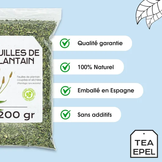 81l2diXCVDL._AC_SL1500_