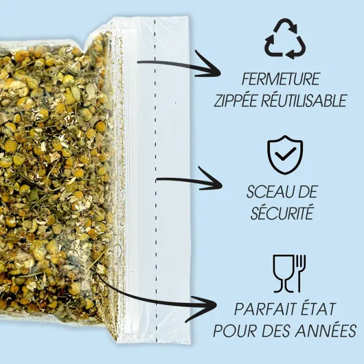 81l9OGyApuL._AC_SL1500_