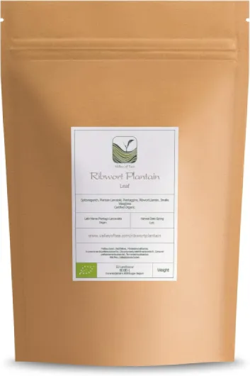 Plantain Feuille Tisane Bio Infusion - Plantin Feuilles 100g Plantain 100 g (Lot de 1)