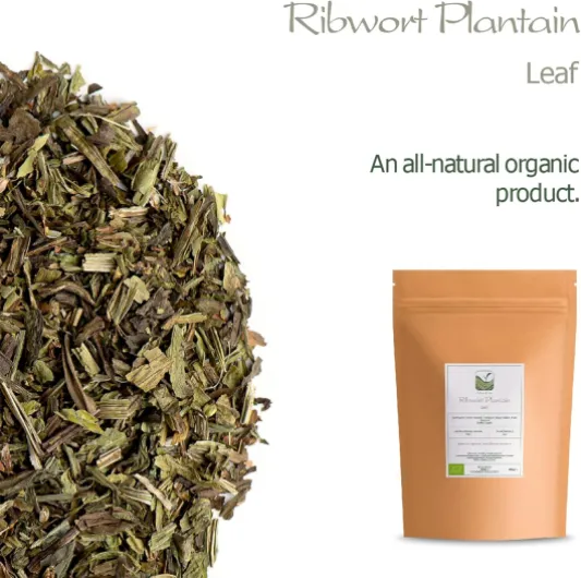 8189LrX 5WL._AC_SL1500_