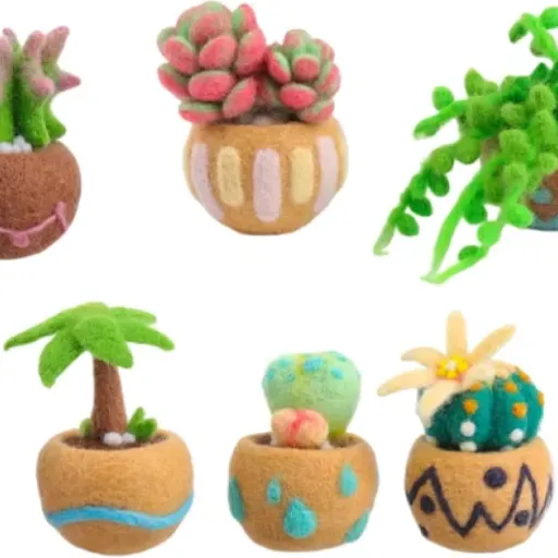 Test Kit de feutre végétal fait à la main : Un pas vers la créativité naturelle