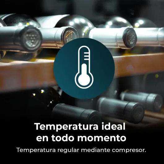 613EzAAglvL._AC_SL1200_