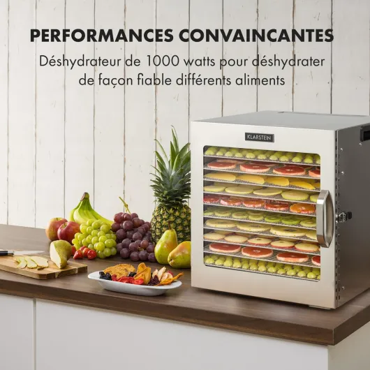 Captain Jerky 110, Déshydrateur,1000 W,30-90 °C, minuterie 24 h, sans BPA, commande tactile, 10 plateaux, porte en verre, déshydrateur en inox pour fruits, légumes, bac collecteur - argent 10 plateaux Argent