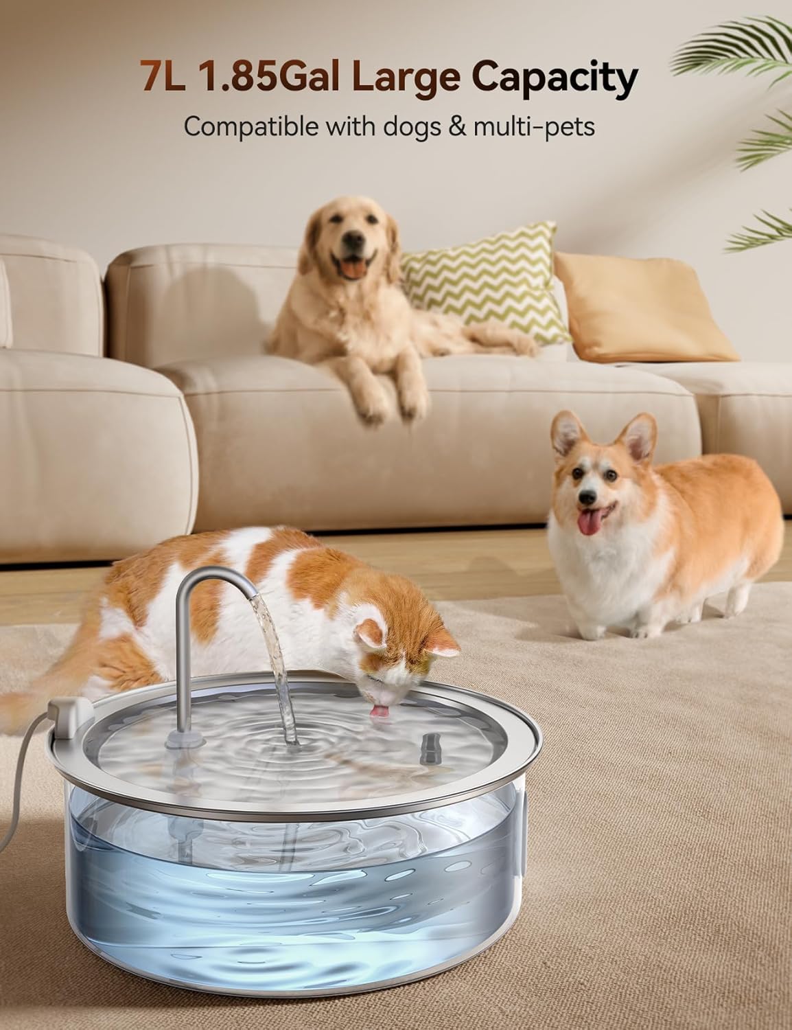 7L Fontaine à Eau Chien en Acier Inoxydable, Fontaine à Eau Chat avec 2 Filtres, Multi-Filtration, Facile à Nettoyer Fontaine+2 Filtres+1 Éponge