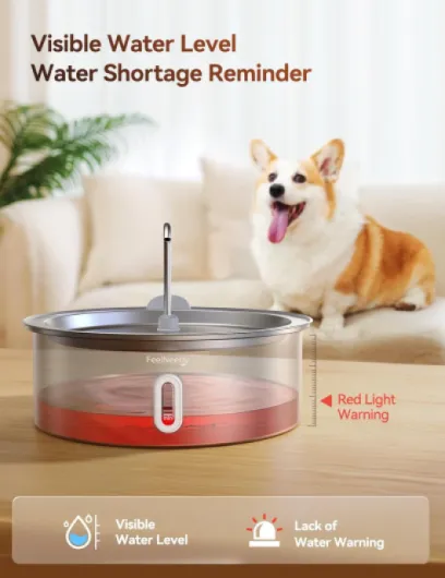 71Lj6AEQ0yL._AC_SL1500_