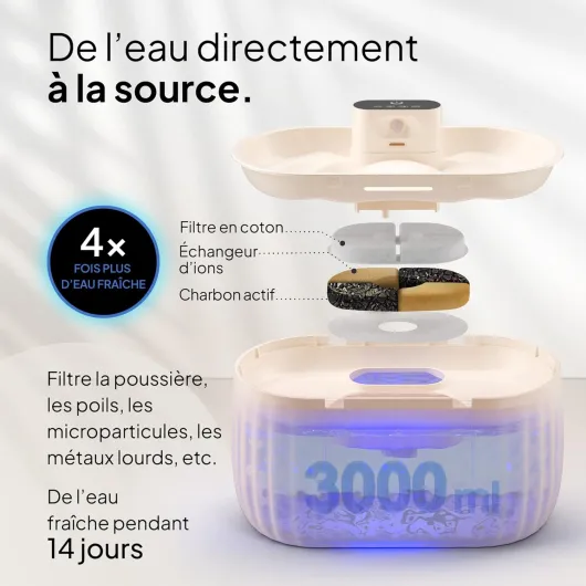 71-u6nzhm8L._AC_SL1500_