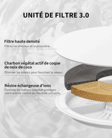 71AdsCfGtGL._AC_SL1500_